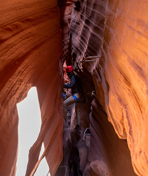 520x693-NTD-AdventureRidge-ViaFerrata